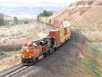 BNSF 7295